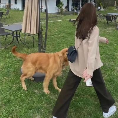 幕府风云
