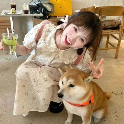野兽之都